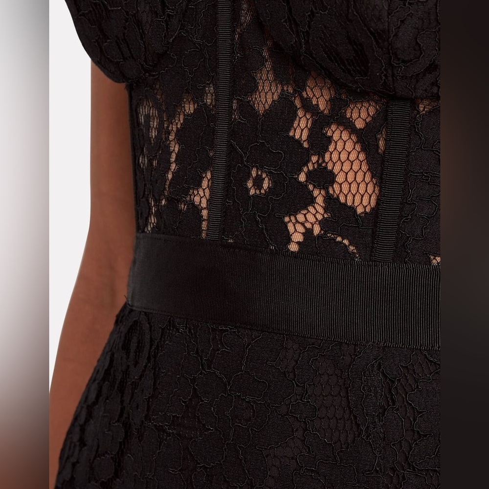FAME & PARTNERS Mariposa Strapless Mesh-Net Dress - Picture 3 of 8